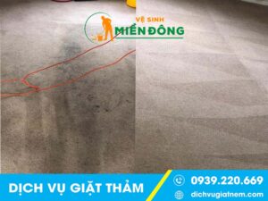 Dịch vụ giặt Thảm tại quận 8 - Chất lượng và nhanh chóng