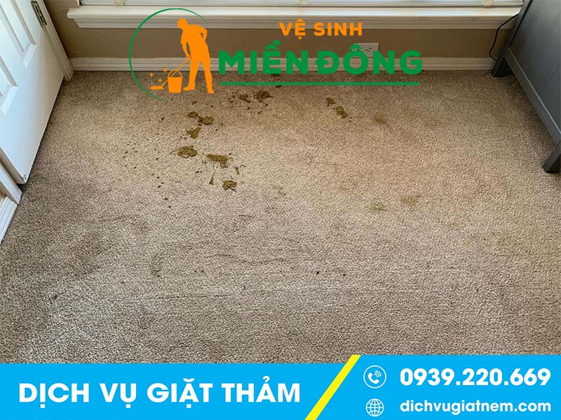 Điều bạn nên biết khi giặt thảm tại quận 3