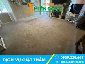 Dịch vụ giặt Thảm tại quận 5 - Chuyên nghiệp & Giá Tốt