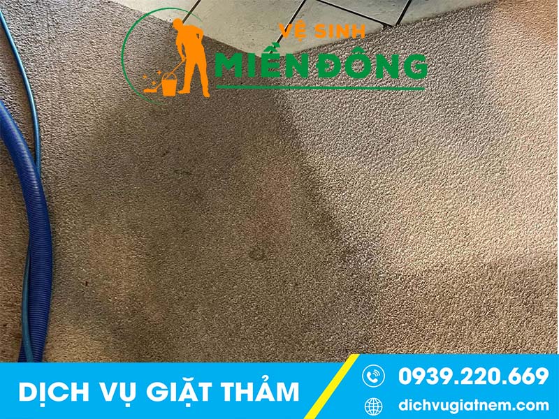Các phương pháp vệ sinh thảm được nhiều công ty sử dụng