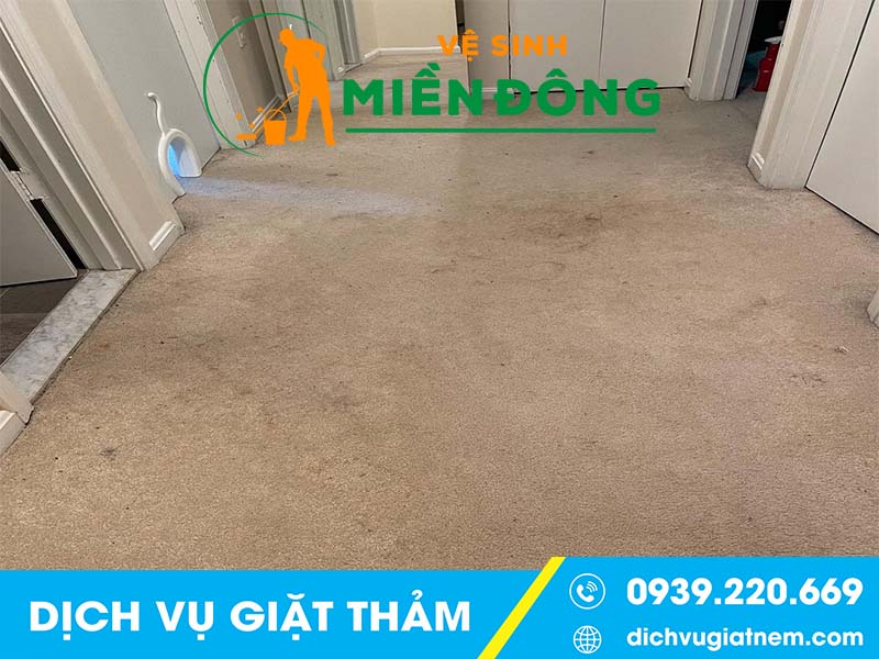 Giá dịch vụ giặt thảm tại Vệ sinh Miền Đông mới nhất