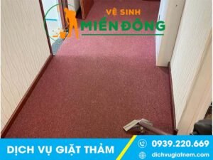 Dịch vụ giặt Thảm tại Bình Dương - Chuyên nghiệp & Giá Tốt