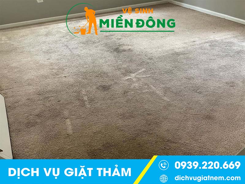 Một số câu hỏi về dịch vụ giặt Thảm tại Vĩnh Cửu của Vệ sinh Miền Đông