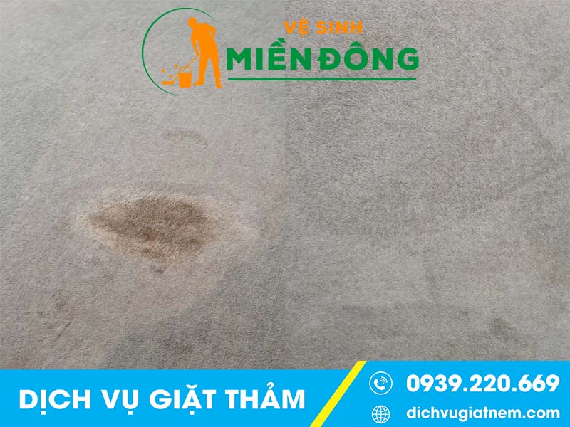 Chi tiết dịch vụ giặt thảm tại Trảng Bom