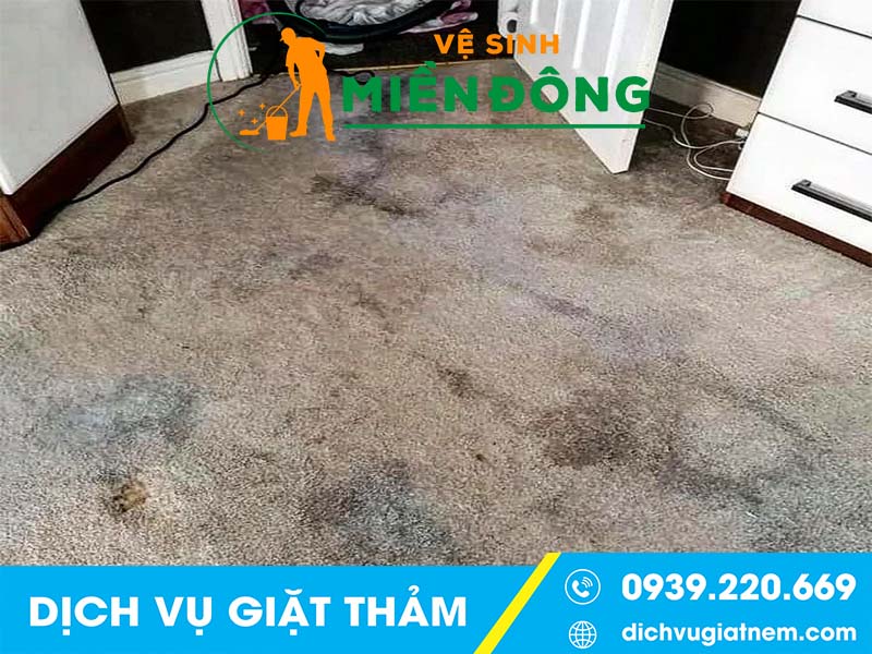 Chất lượng dịch vụ giặt thảm tại Đồng Nai chất lượng