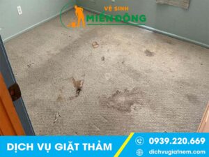 Dịch vụ giặt Thảm tại Đồng Nai - Chuyên nghiệp & Giá Tốt