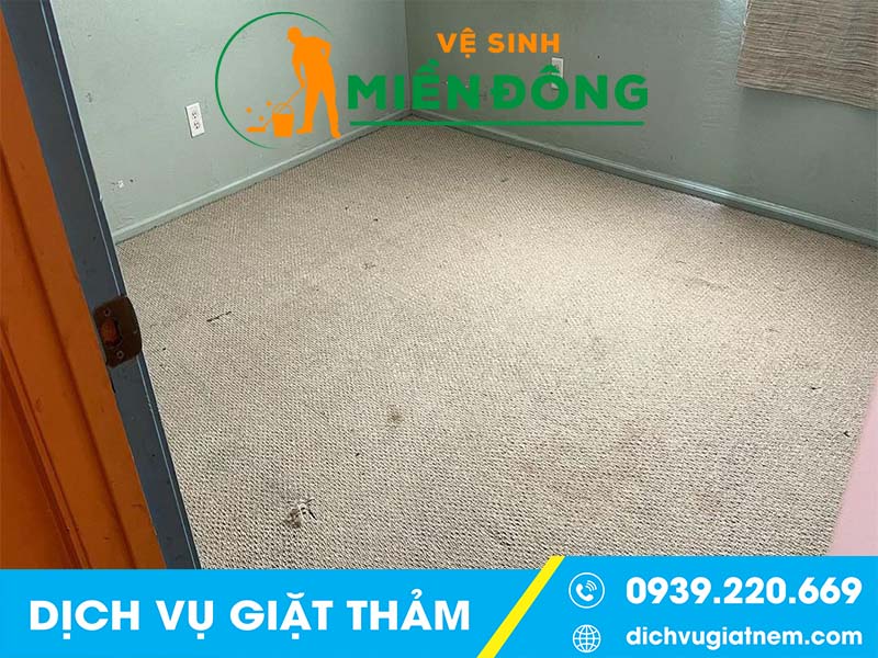 Lưu ý chung khi giặt thảm