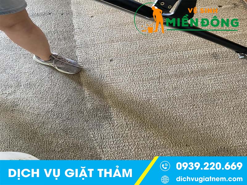 Vệ sinh thảm thường xuyên là rất quan trọng