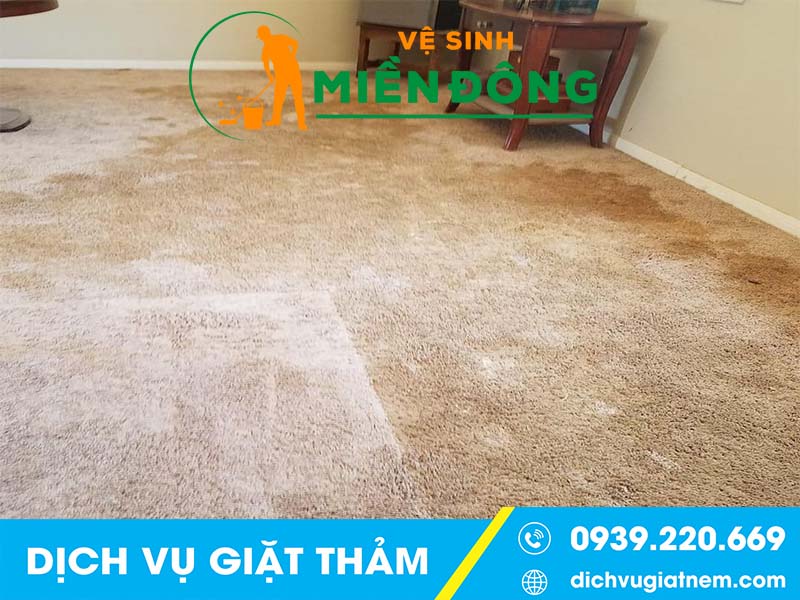 Những dấu hiệu của việc cần vệ sinh thảm ngay lập tức