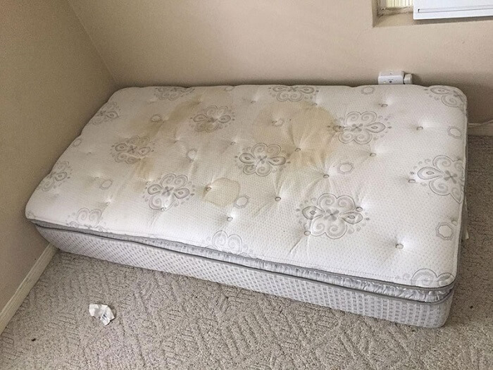 Tổng hợp 5 lý do nằm nệm bị ngứa và cách khắc phục hiệu quả 2 nam-nem-bi-ngua