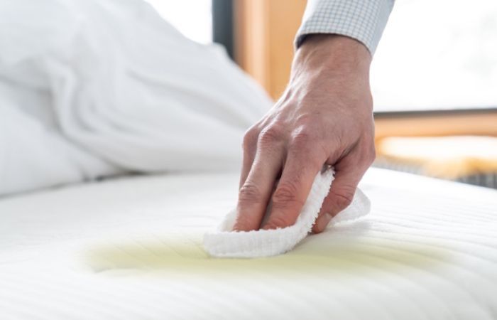 Nệm bị ướt phải làm sao? 4 cách xử lý đúng cách theo chất liệu 4 nem-bi-uot-phai-lam-sao