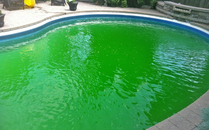 Dịch vụ vệ sinh hồ bơi ở Bình Dương