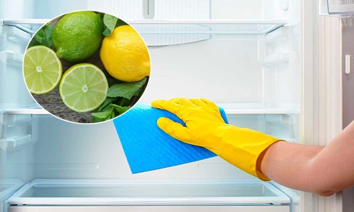 khử mùi tủ lạnh